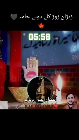Zaran zor Kaly Doya jama Ansar Ali rabab🍁☝️❣️☝️💔🍁❣️