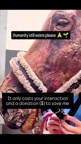 #please any heroes to save me kindly visit my PayPal link in bio $50,100,200,300,400,500 it can make a difference 🙏🙏😭😭😭💵💵💵