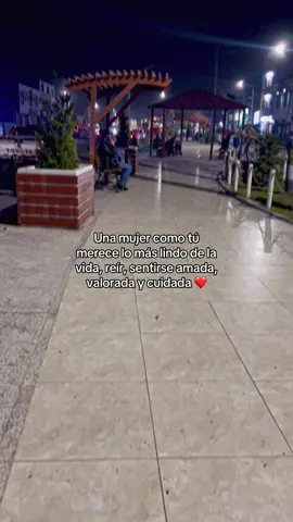 #frases #fyp #viral ##unamujermerecelomejor 