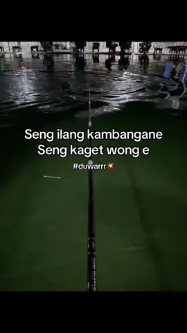 Lele iju di pancing mas,ojo malh di maem#fyp #rilisanjawatimur #galatamalelejatim #rilislelesurabaya #pemancinggayabebas #rillislelemalang #rilislelesidoarjo #mancing #kring #foryoupage #galatamalelesidoarjo 