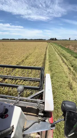 #ស្រឡាញ់បងទេបើសិនបងកូនអ្នកស្រែ💗😂      #សុំ❤️ម្នាក់មួយមកok🙏❤️❤️ #ព្រៃវែងផ្ទះខ្ញុំ #កូនអ្នកស្រែ🌾🍀 #