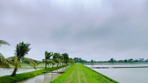 View !! #fyp #foryou #local #jhenaidah 