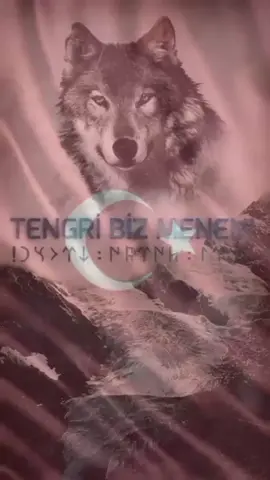 #Türk #özünedön #turkluksereftir #tengribizmenen #tengri 