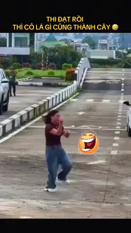 🤣🤣🤣THI ĐẠT RỒI  THÌ CỎ LÁ GÌ CŨNG THÀNH CÂY #hoclaixeoto #daylaixe #sathachlaixe #thigplx #vuinhon 