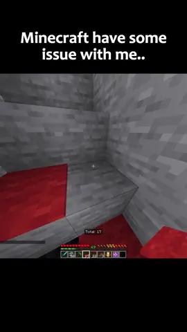 Minecraft Have Some Issue With Me #Minecraft #mc #minecraftmemes 