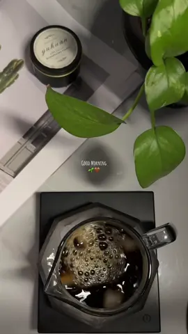Good Morning 🌱🤎🤎 #اكسبلور #ترند#ترندات #explore #fyp#coffee #your_coffee#v60 #صباح_الخير #صباح#الشعب_الصيني_ماله_حل 