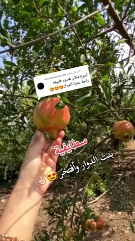 الرد على @ayoubhasnaoui8 بنت الدوار وأفتخر 😍🫶🏻#سطيف_العالي_ٱخاالي💖💖💖💖💖🎼🎼 #سطيف____19 #سطيف_العـالـي #_العالي_ٱخاالي #سطيف_العلمة 