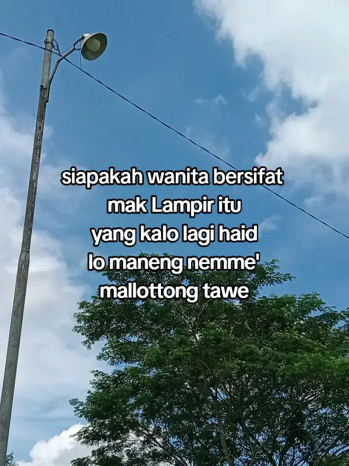 saya saya👆👆👆:)#bugispride🏝️🔥 #fypシ゚viral #begitulahkirakira 