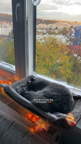 Cozy vibes all day” 🍁🌧️🍂#BlockBlast #HungryStudio #BlockBlastLove