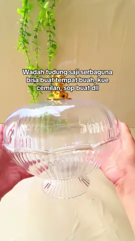 Rasa nya pingin beli lagi😍 #wadahbuah #wadahestetik #mangkokserbaguna #tudungsajibulat 