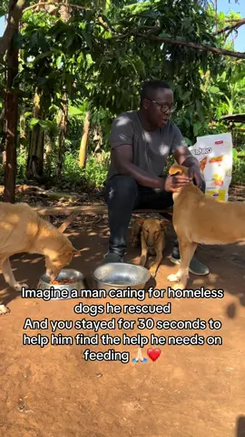 Can you help me 🙏🏻🙏🏻❤️ Even $1 can help feed a dog 🐾🙏🏻 #dogsoftiktok #rescuedog #straydog 