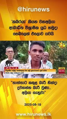 #longervideo #TikTokTainment #TruthAtAllCosts #WhatToWatch #HiruNews