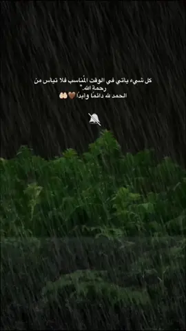 #اعتذر_لنفسي #هدوء #التخطي #يارب #شكرا_للمواقف 
