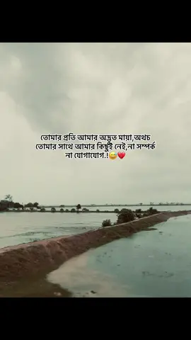 তোমার প্রতি আমার অদ্ভুত মায়া,অথচ তোমার সাথে আমার কিছুই নেই,না সম্পর্ক না যোগাযোগ.!😅💔#unlucky_boy_75 #foryoupage #foryouvideo #bdtiktokofficial #unfugemysccount @TikTok Bangladesh 