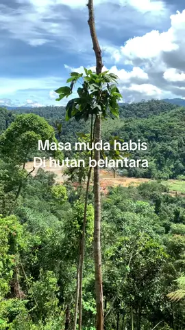 #fyphutankalimantan karna proses tidak ada yg instan