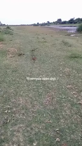 #kesfet 😂tudduebu🗿