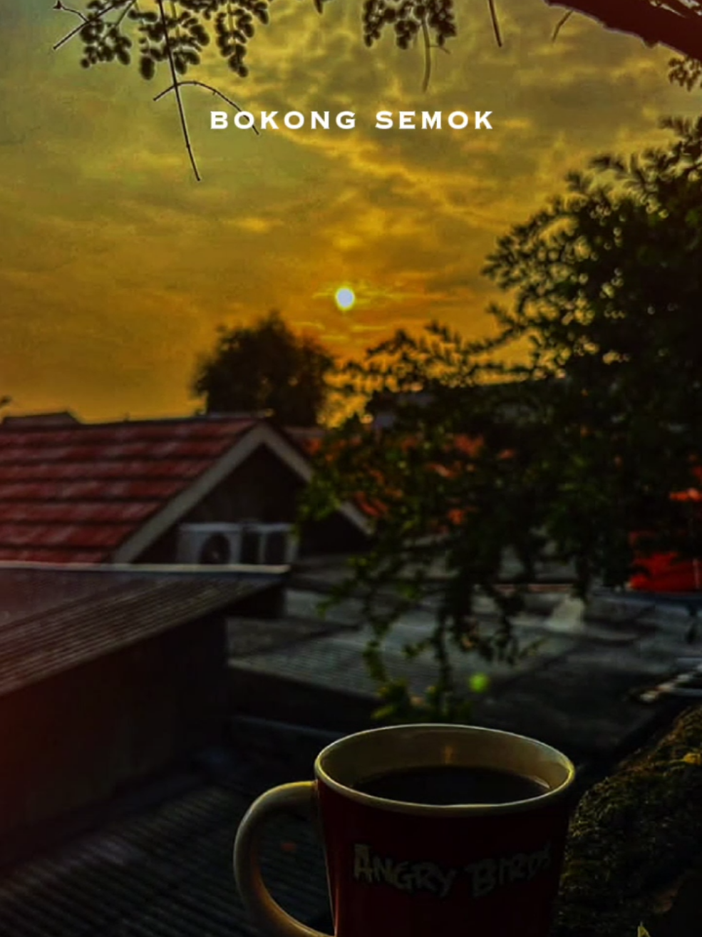 BOKONG SEMOK , BOKONGE NIKEN SEMOK 🤭🤭🤭#liriklagu #jawapride🔥 #templatecapcut #CapCut #fyp 