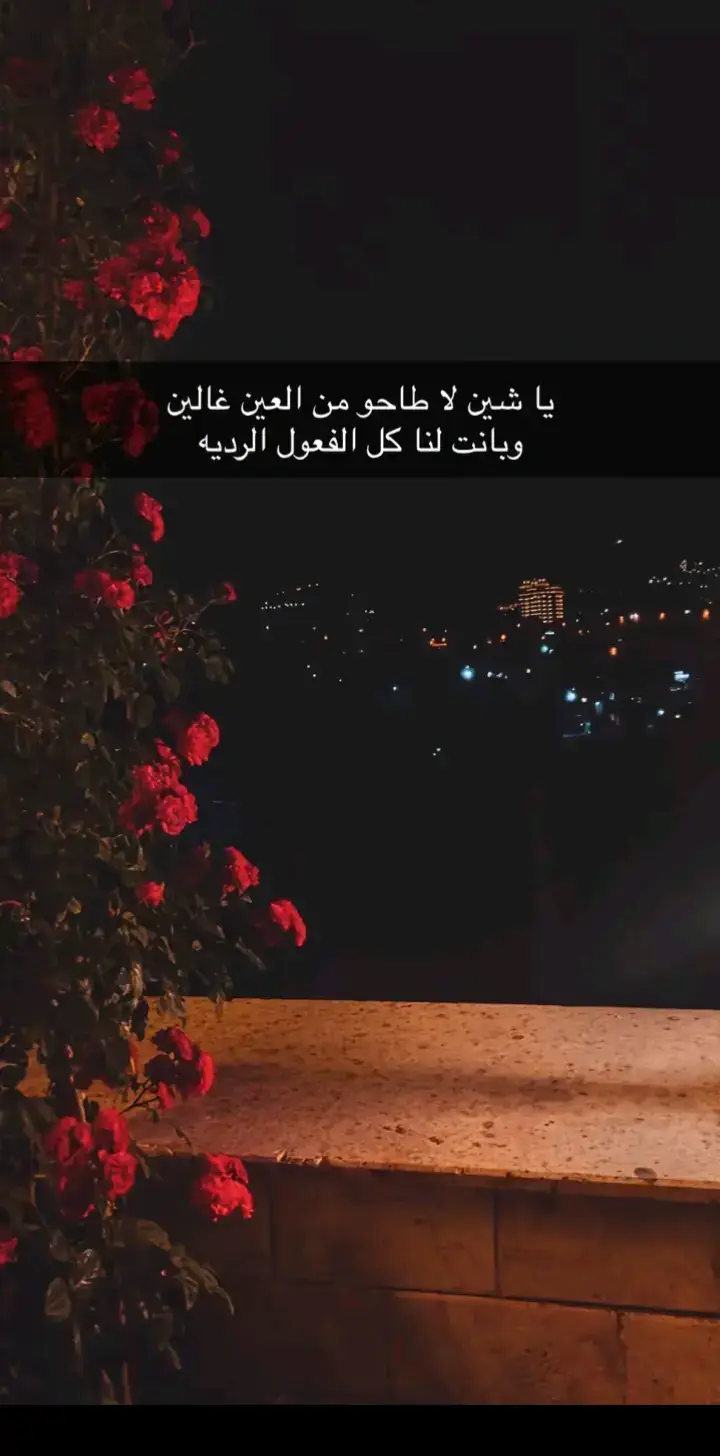 #مجرد________ذووووووق🎶🎵💞 