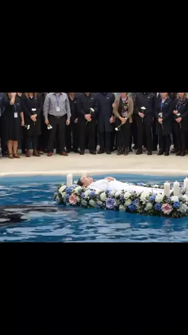 #jessica #orca 