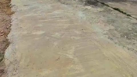 Village life 💖🎀 #nature #myanmar #beauty #fypシ 