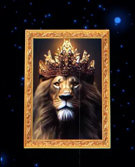 الرد على @sa3b3lik تكريم الملكي للمصممين 🤍.#fyppppppppppppppppppppppp #اكسبلور #almalakyvip #almalakyvip #almalakyvip 