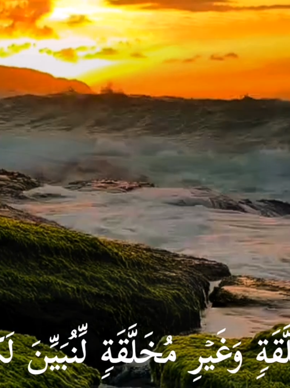 ﷽﴿واذكر ربك إذا نسيت﴾ 🤍  سبحان الله   الحمدلله   لا إله إلا الله   الله أكبر  سبحان الله وبحمده   سبحان الله العظيم #سورة_الحج #منصور_السالمي #تدبروا_الايات🤍  #آلاءشريف #🖤آلاء⛓️ 