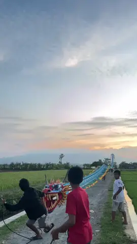 Angine loss😆 #musimlayangan #trainnaga #musimlayangan2025 #layanganviral #layangannaga 