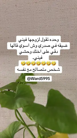 #fyp #fypシ゚ #foryou #fyppppppppppppppppppppppp #الشعب_الصيني_ماله_حل😂😂 