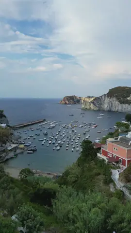 Ponza sei speciale! ❤️ #ponza #ponzaitaly #palmarola #italy #viral_video 