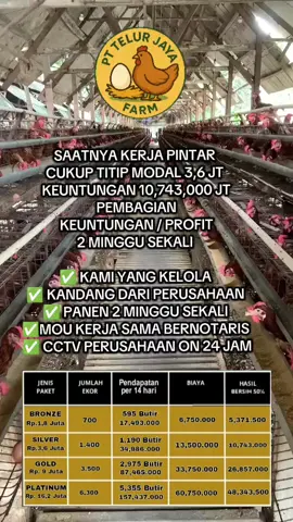 SAATNYA KERJA PINTAR  CUKUP TITIP MODAL 3,6 JT  KEUNTUNGAN 10,743,000 JT PEMBAGIAN KEUNTUNGAN / PROFIT 2 MINGGU SEKALI  ✅ KAMI YANG KELOLA  ✅ KANDANG DARI PERUSAHAAN  ✅ PANEN 2 MINGGU SEKALI  ✅MOU KERJA SAMA BERNOTARIS  ✅ CCTV PERUSAHAAN ON 24 JAM#peternaksuksesindonesia #petrnakayamindonesia #peternakmuda #peternaksukses #peternakayam 