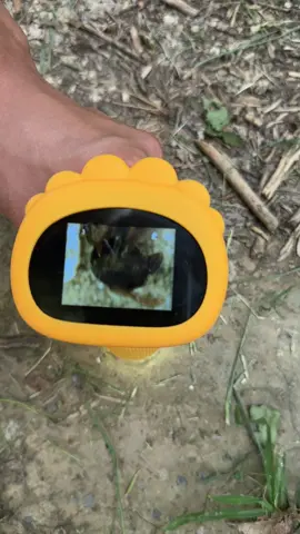 Obsessed with this mini microscope portable, powerful and perfect for exploring the world up closel Great for kids, hobbyists or just having fun #portablemicroscope #microscopefun #gadgettok #scienceathome #microscopelife #tiktokmademebuyit 