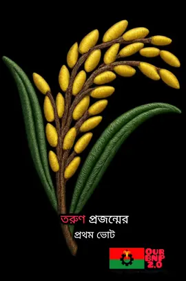 ধানের শীর্ষ 🌾✊🇧🇩 #Our_BNP2.0 #bangladesh🇧🇩 #saudiarabia🇸🇦  #foryoupage 