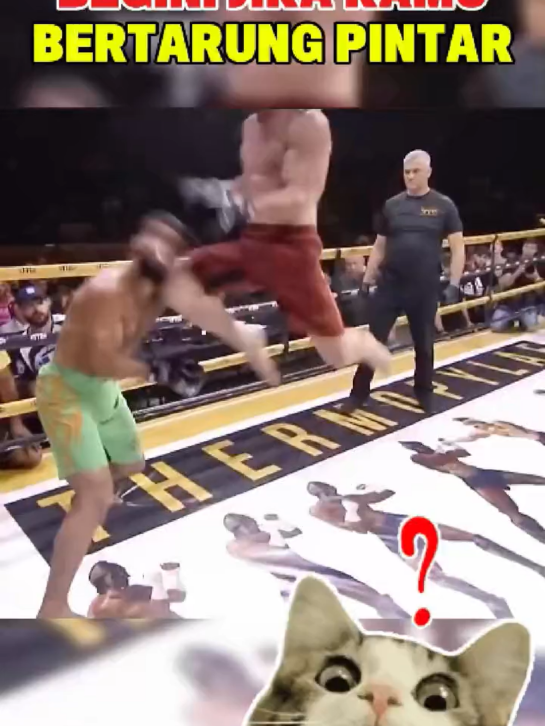 BERTARUNG DENGAN PINTAR!! BUKAN DENGAN EMOSI #SPORT #mma #UFC #boxing #SPORTS