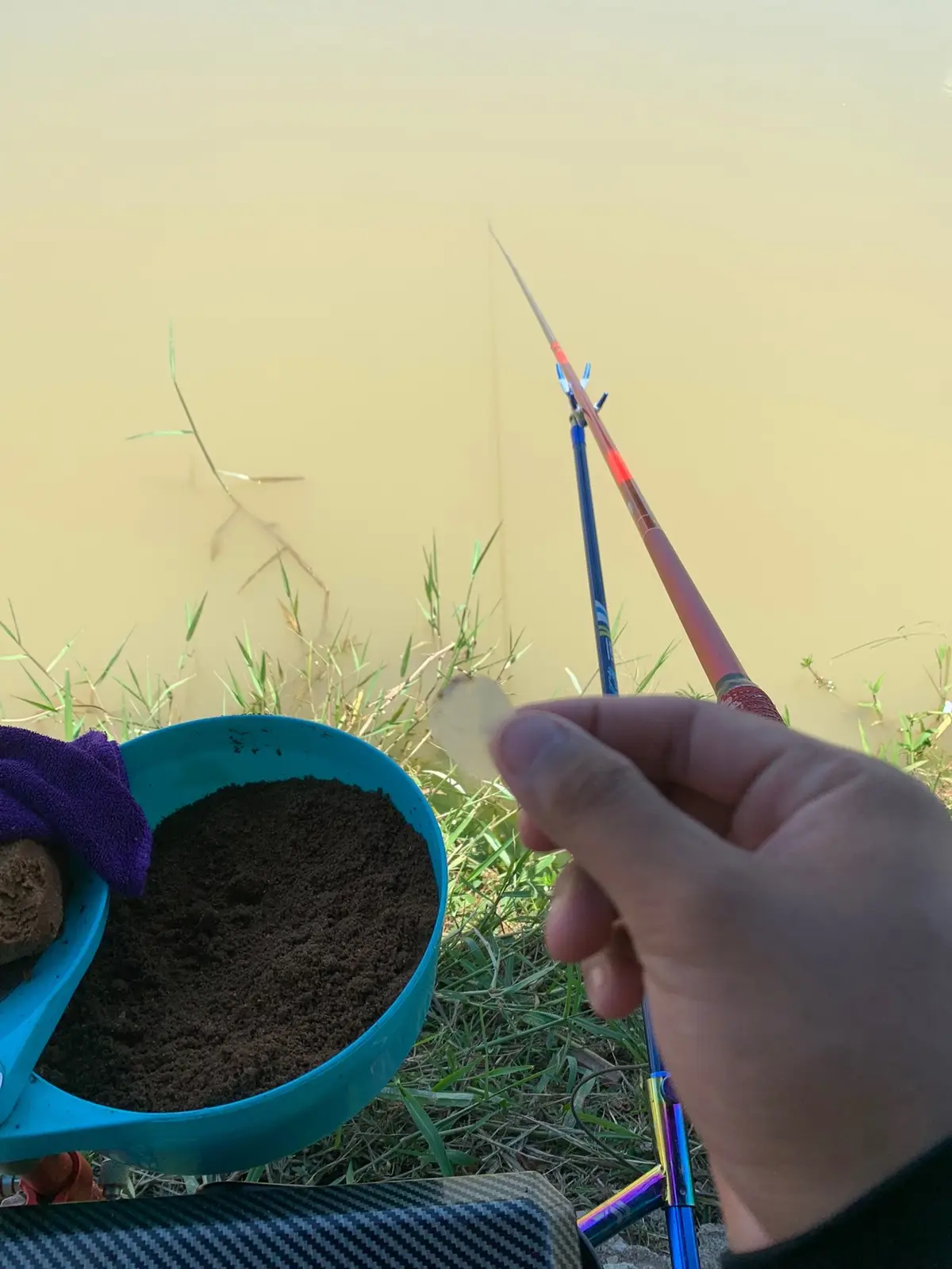 Đã vào ổ anh em ơi 