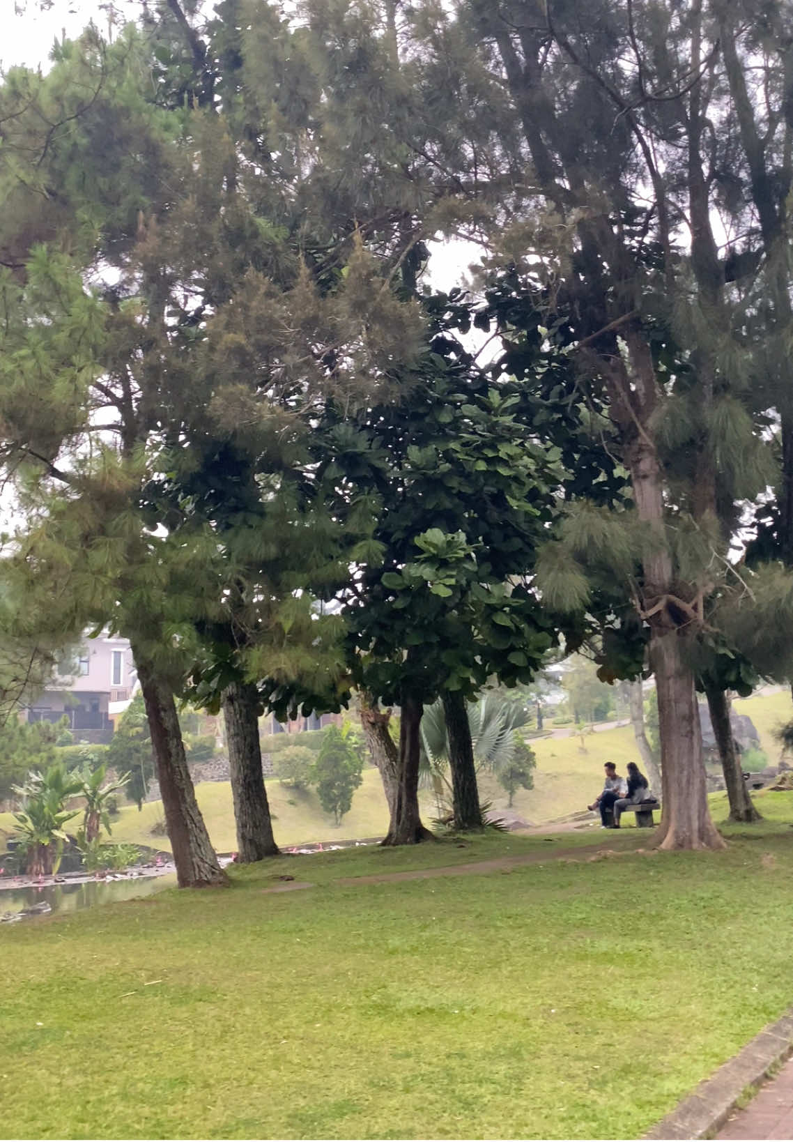 Rame wae ning nya nu bobogohan sore mah 😂 #cipanas #cianjur 