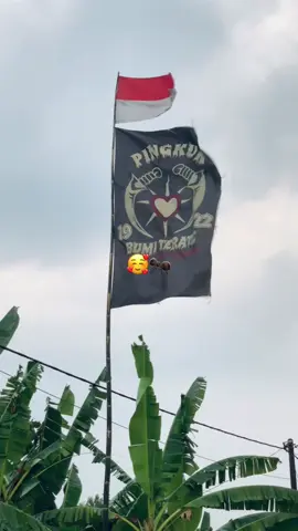 kamu boleh mengibarkan bendera panjimu tapi jangan sampai melebih merah putih#fyp #pshtmagetan #pshtngentak #masukberanda 