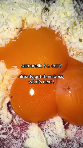 i love salmonella 😋 #salmonella #ecoli #rawmeat #primaldiet 