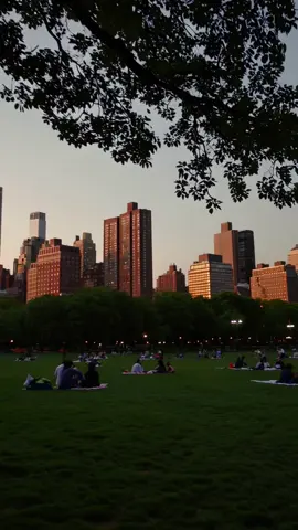 #newyorkcity #newyork 