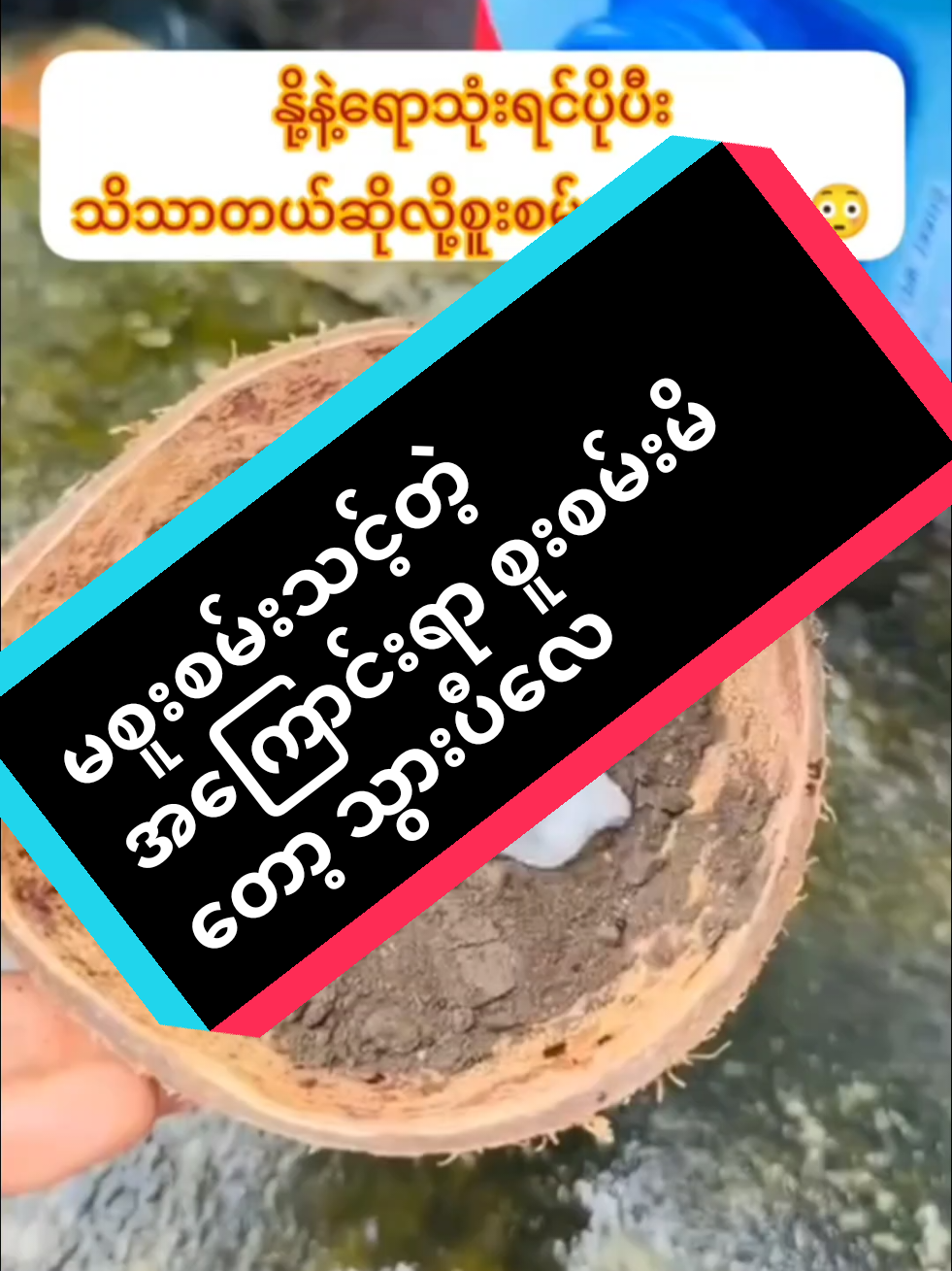 #အမာရွတ်ပျောက်ချင်သူများအတွက် #အမာရွတ်ပျောက်အသားဖြူscrub #kyitahr💜 #fpyシ #foryou 