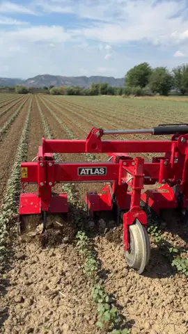 Precision agriculture. Weeding for better aeration and better growth 