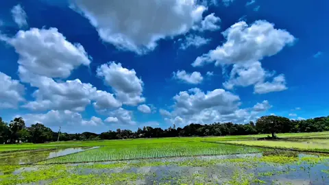 সে যেনো ভুলে না মোরে...!🍃☁️#foryou #foryoupage #@Tiktok Bangladesh #viraltiktok 