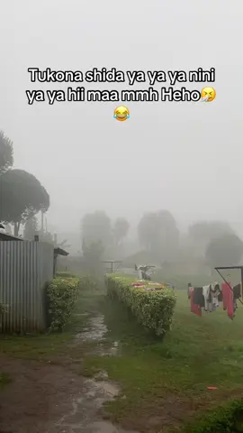 July weather flexing in August 😭🤧7am 📍kikuyu, kahuho #kenyantiktok🇰🇪 #fypシ゚ #tiktokkenya #makemefamous #foryoupage 