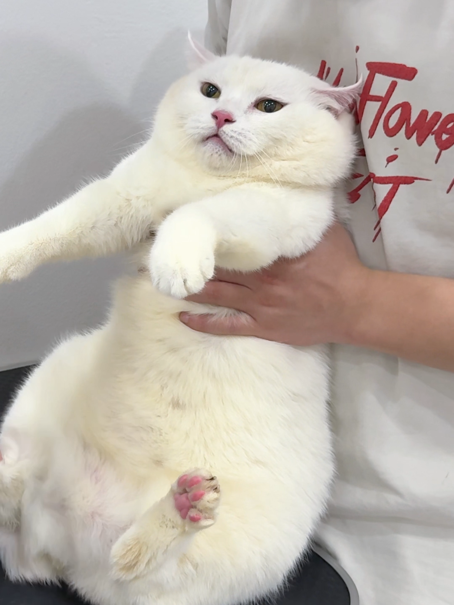 May đi tắm trắngggg #maly #malygaugau #malyfamily #vtvcab