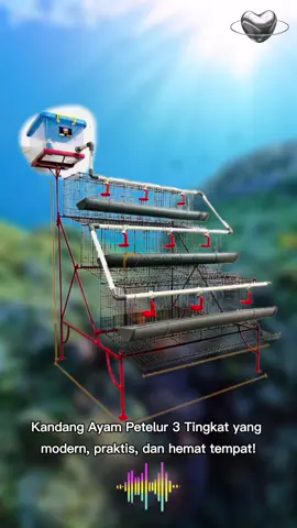 🔥 PAKET KANDANG AYAM PETELUR 3 TINGKAT - FULLSET & SIAP PAKAI! 🔥  Ingin mulai beternak ayam petelur di rumah? 💡 Gunakan Kandang Ayam Petelur 3 Tingkat dari LAQUILA yang modern, praktis, dan hemat tempat! 🐔✨ ✅ Kapasitas 18 ekor ✅ 6 pintu (1 ekor per pintu) ✅ Material Galvanis + Cat Oven Coating (anti karat & tahan lama) ✅ Sudah termasuk tempat pakan, minum otomatis, dan penampung kotoran ✅ Cocok untuk pemula maupun usaha rumahan ✅ 3 Pilihan warna menarik ✅ Hemat tempat – ukuran hanya 120x110x140 cm 💧 Dilengkapi sistem minum otomatis dari tangki atas 💪 Rangka kokoh, mudah dirakit, dan tahan lama! Paket Lengkap, Langsung Ternak Tanpa Ribet! Tingkatkan produktivitas ayam petelur Anda sekarang juga! 📦 Stok terbatas! Order sekarang dan mulai beternak dari rumah! 🔖 #KandangAyamPetelur #TernakAyamRumahan #KandangModern #TernakAyamMudah #AyamPetelur