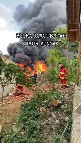 sumur minyak di daerah blora jawa Tengah terbakar dan meledak #sumur #sumurbor #sumurmaut #sumurresapan #minyak #minyakgoreng #minyaktelon #minyakwangi #blora #blora24jam #bloramustika #bloraupdates #blorahits #blora_jateng #jateng #jawatengah #kebakaran #fypage #fyppppppppppppppppppppppp #viralvideo #virall #1 #1millionaudition #100k #viralvideos 