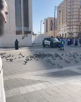 #amiinfx 