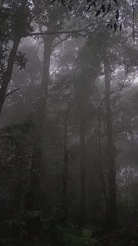 ⛰️🍃 #exile #fyp #taylorswift #fypplis #viral @Gn.kencana2_sukamakmur 