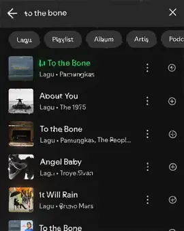 To the Bone  #fyp #foryou #englishsong #songlyrics #spotify 