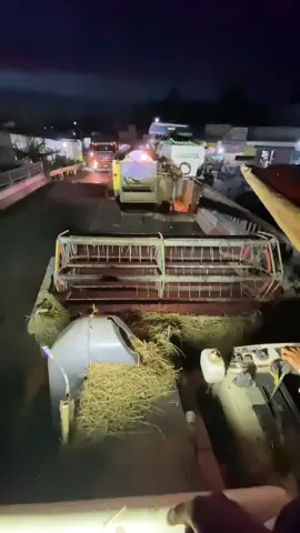 Chợ thạnh trị nay vui vẻ quá 🤣🤣@@Lộc phạm👀 @Cậu Chủ Nhỏ @Nguyễn Hoài 199 @Minh Dươngg 