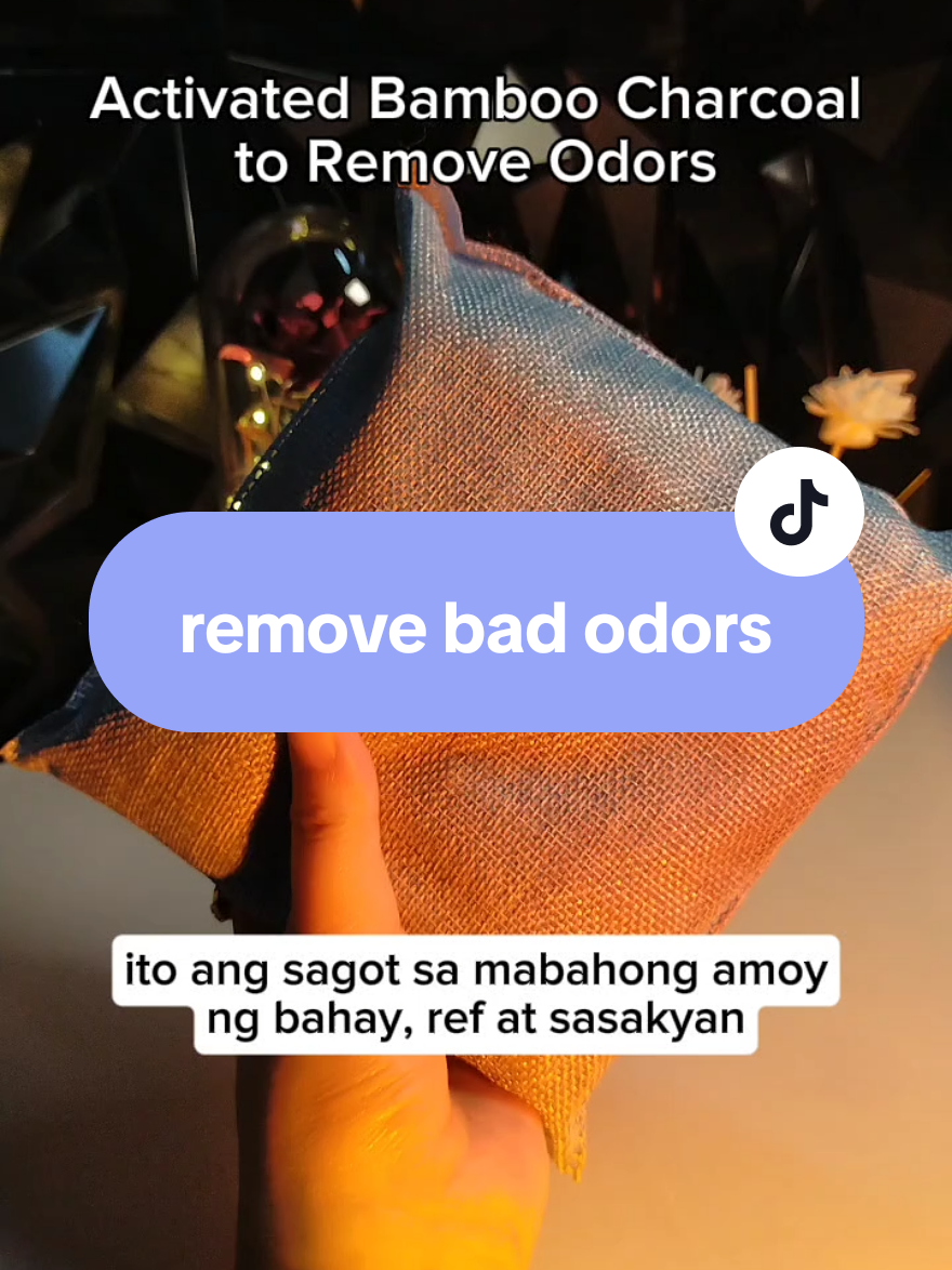 Replying to @john.devera_yes pedeng pede. kahit saan pedeng ilagay tong activated bamboo charcoal bag #activatedcharcoal #activatedbamboocharcoal #charcoaldeodorizer #odoreleminator #charcoalbag 